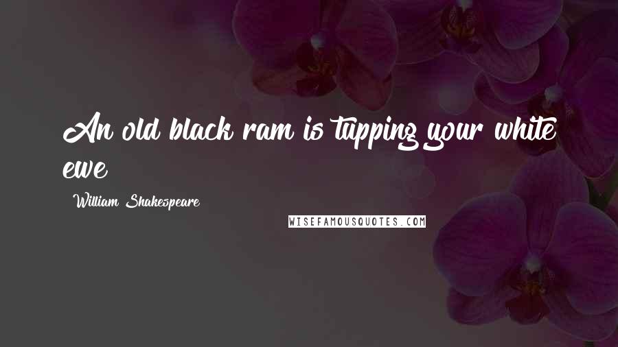William Shakespeare Quotes: An old black ram is tupping your white ewe