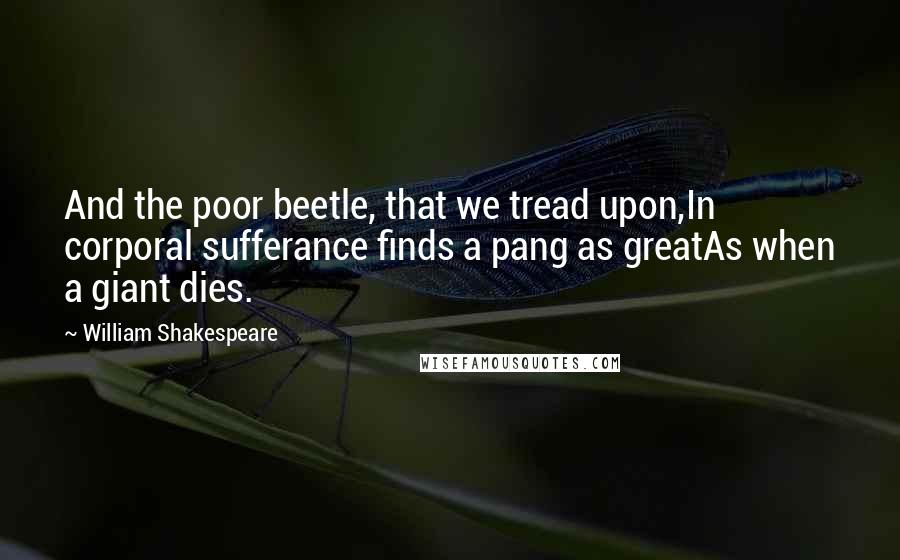 William Shakespeare Quotes: And the poor beetle, that we tread upon,In corporal sufferance finds a pang as greatAs when a giant dies.