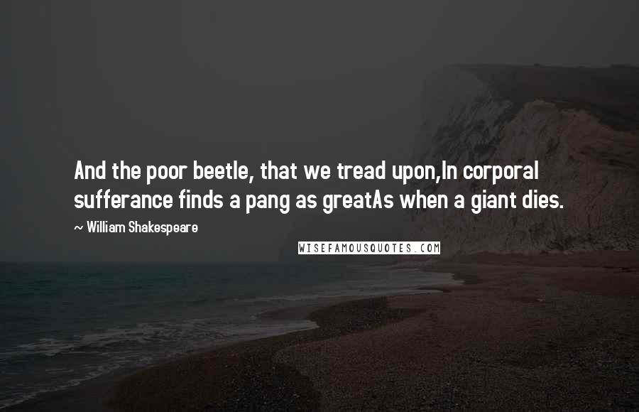 William Shakespeare Quotes: And the poor beetle, that we tread upon,In corporal sufferance finds a pang as greatAs when a giant dies.