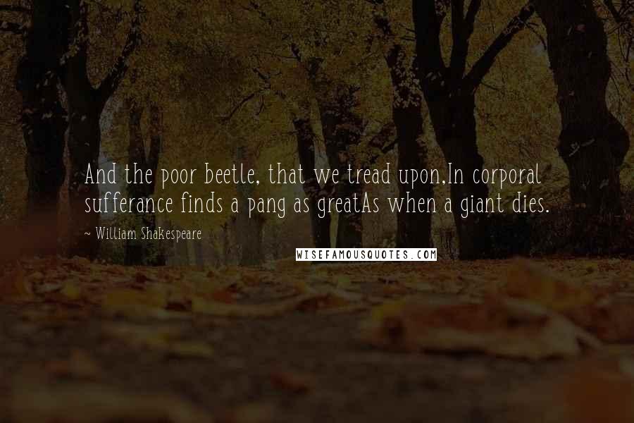 William Shakespeare Quotes: And the poor beetle, that we tread upon,In corporal sufferance finds a pang as greatAs when a giant dies.