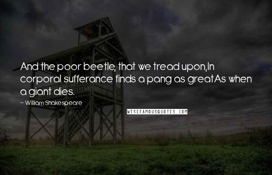 William Shakespeare Quotes: And the poor beetle, that we tread upon,In corporal sufferance finds a pang as greatAs when a giant dies.