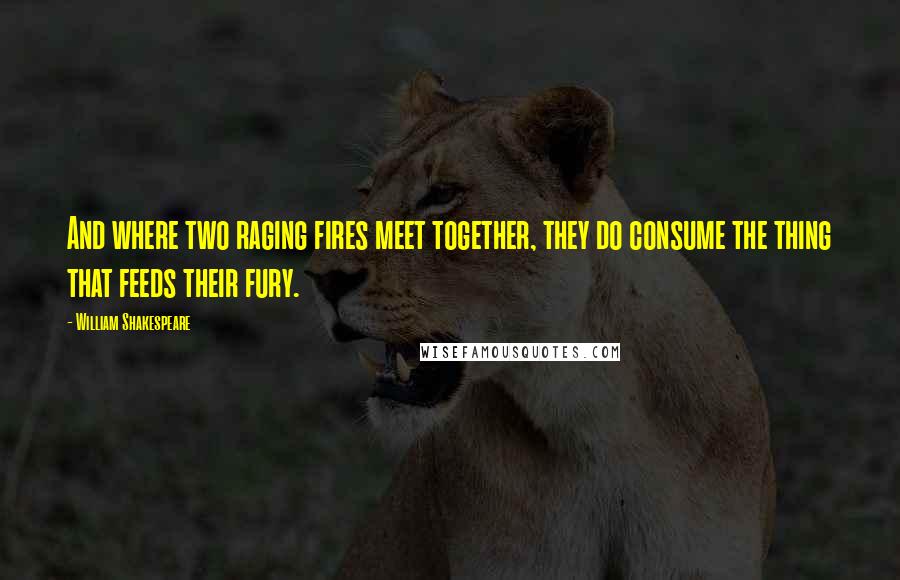 William Shakespeare Quotes: And where two raging fires meet together, they do consume the thing that feeds their fury.