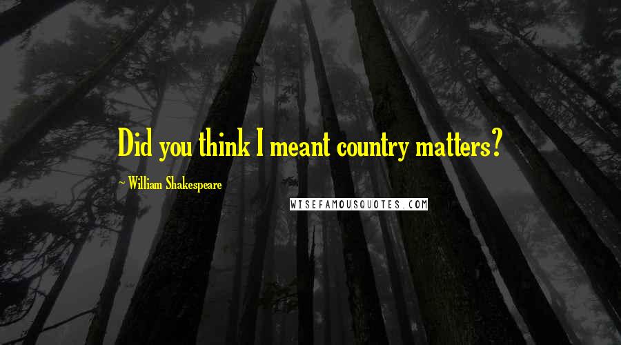 William Shakespeare Quotes: Did you think I meant country matters?