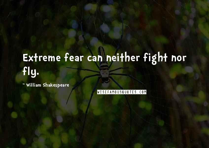 William Shakespeare Quotes: Extreme fear can neither fight nor fly.