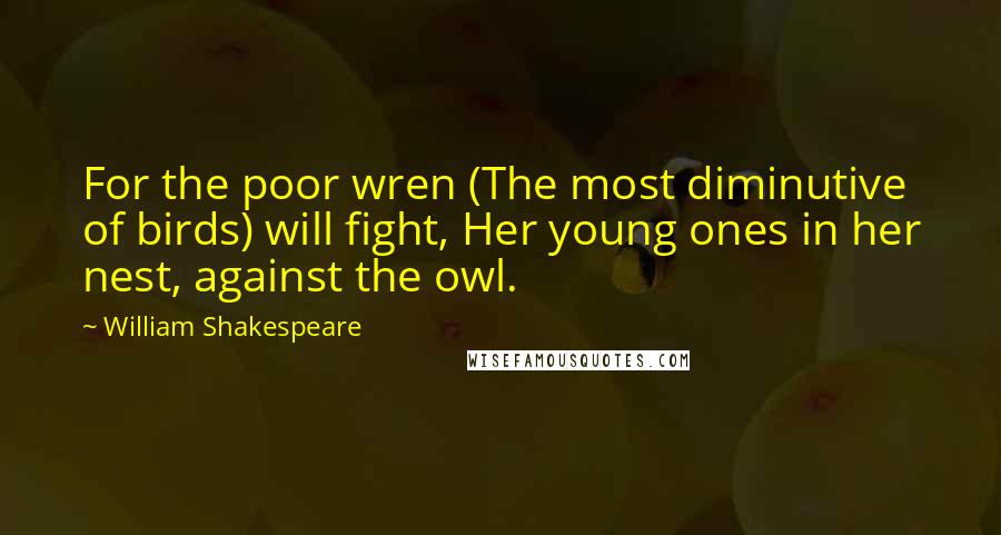 William Shakespeare Quotes: For the poor wren (The most diminutive of birds) will fight, Her young ones in her nest, against the owl.