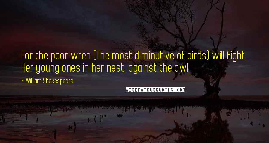 William Shakespeare Quotes: For the poor wren (The most diminutive of birds) will fight, Her young ones in her nest, against the owl.