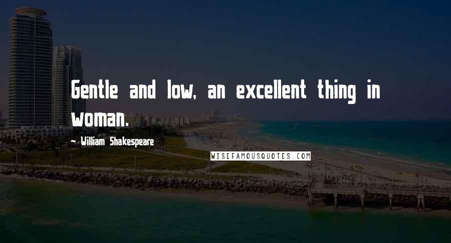 William Shakespeare Quotes: Gentle and low, an excellent thing in woman.