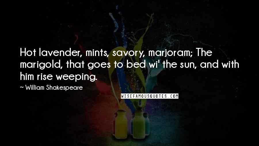 William Shakespeare Quotes: Hot lavender, mints, savory, marjoram; The marigold, that goes to bed wi' the sun, and with him rise weeping.