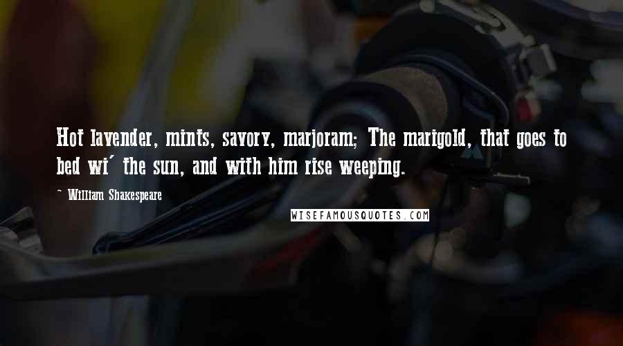 William Shakespeare Quotes: Hot lavender, mints, savory, marjoram; The marigold, that goes to bed wi' the sun, and with him rise weeping.