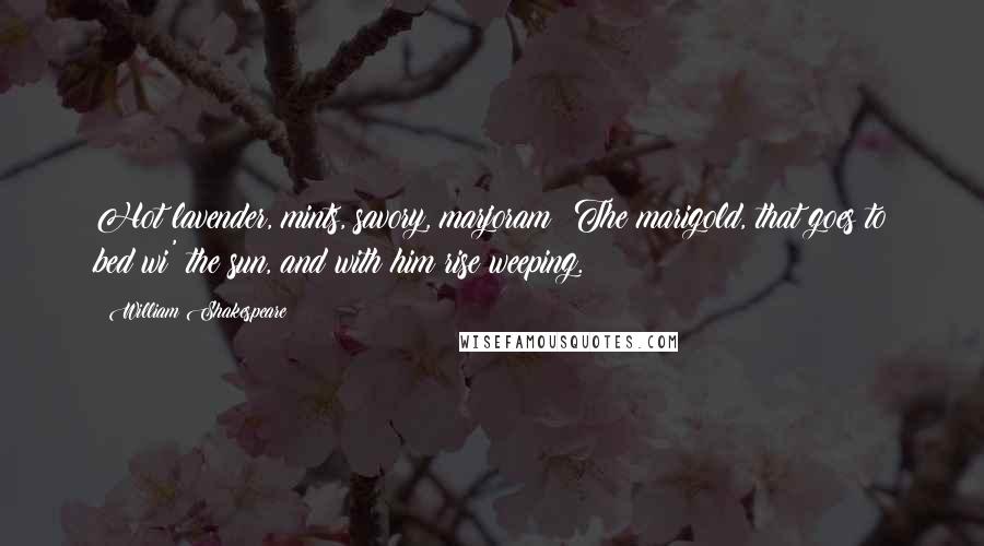 William Shakespeare Quotes: Hot lavender, mints, savory, marjoram; The marigold, that goes to bed wi' the sun, and with him rise weeping.