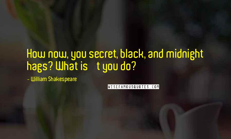 William Shakespeare Quotes: How now, you secret, black, and midnight hags? What is 't you do?