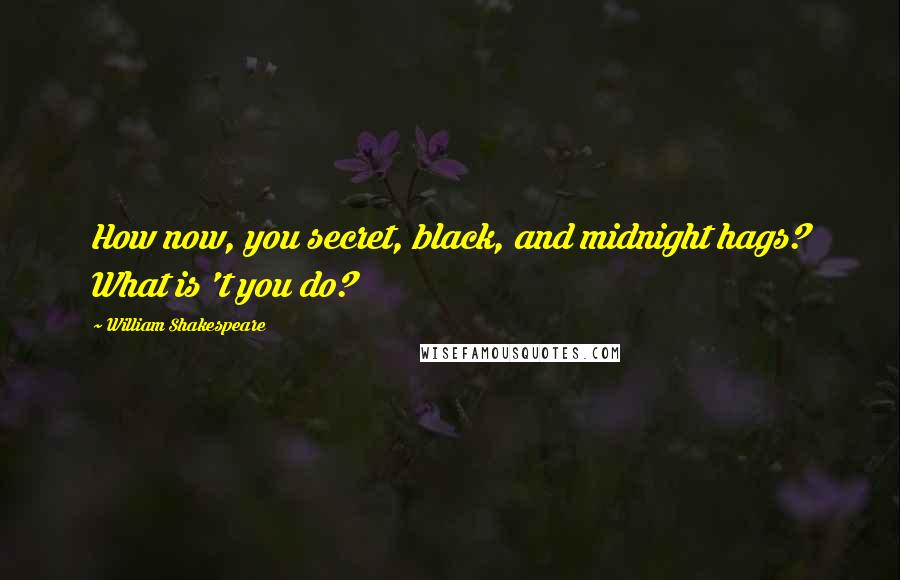 William Shakespeare Quotes: How now, you secret, black, and midnight hags? What is 't you do?