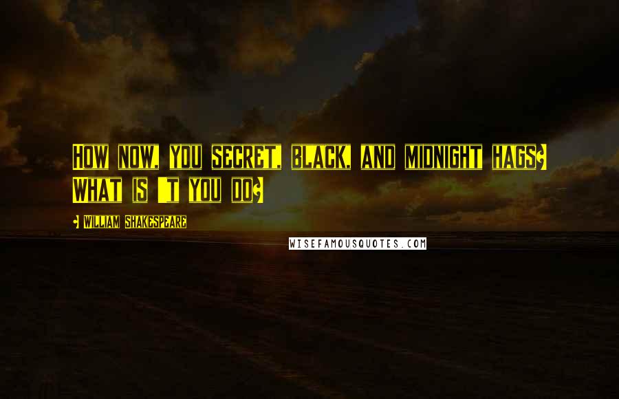 William Shakespeare Quotes: How now, you secret, black, and midnight hags? What is 't you do?