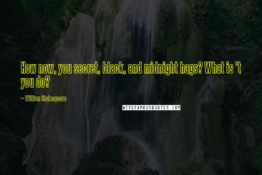 William Shakespeare Quotes: How now, you secret, black, and midnight hags? What is 't you do?