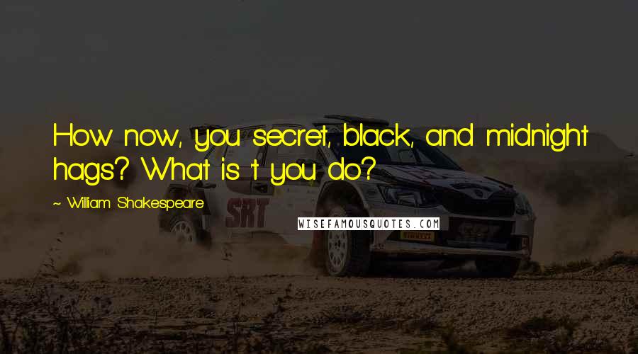 William Shakespeare Quotes: How now, you secret, black, and midnight hags? What is 't you do?