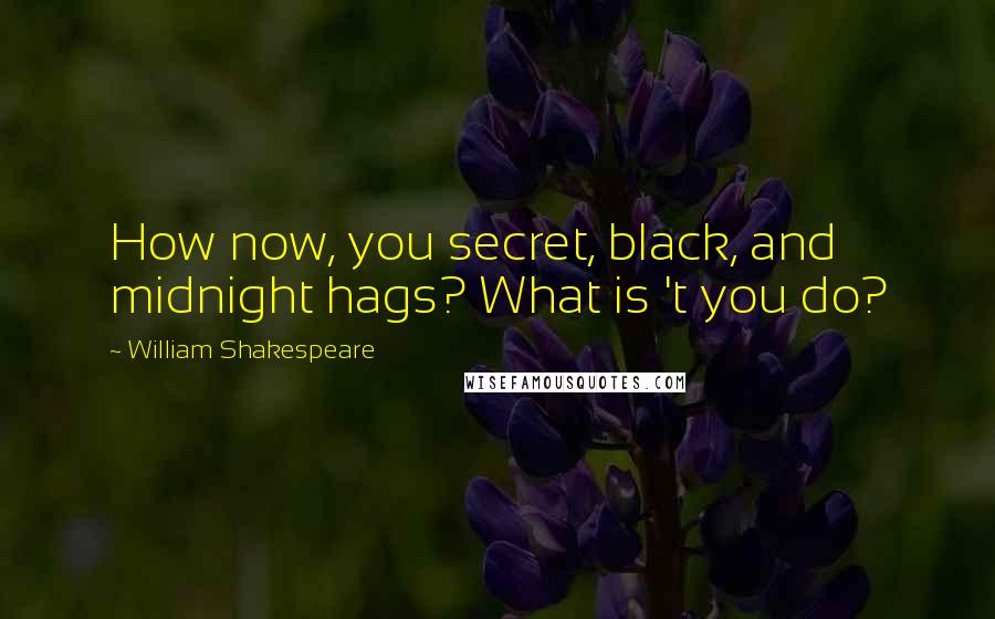William Shakespeare Quotes: How now, you secret, black, and midnight hags? What is 't you do?