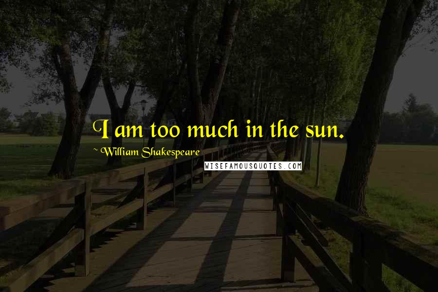 William Shakespeare Quotes: I am too much in the sun.