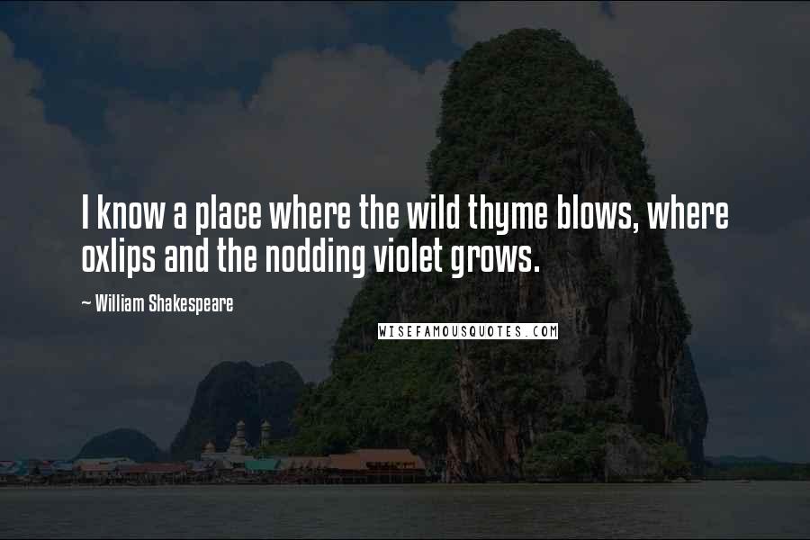 William Shakespeare Quotes: I know a place where the wild thyme blows, where oxlips and the nodding violet grows.