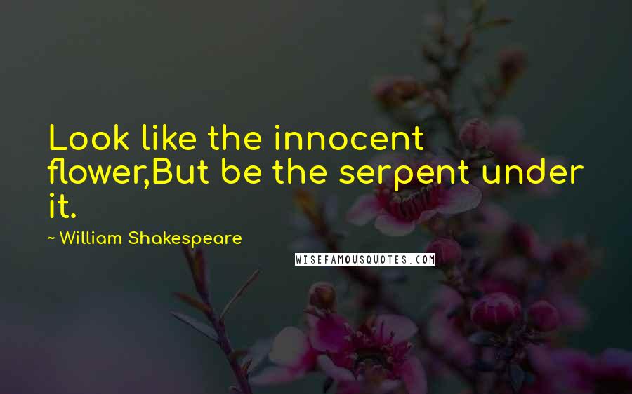 William Shakespeare Quotes: Look like the innocent flower,But be the serpent under it.