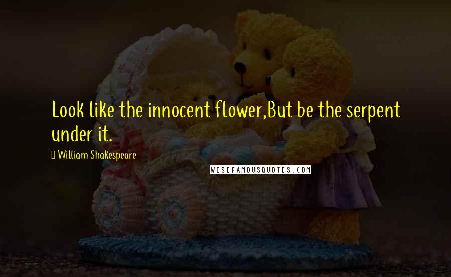 William Shakespeare Quotes: Look like the innocent flower,But be the serpent under it.