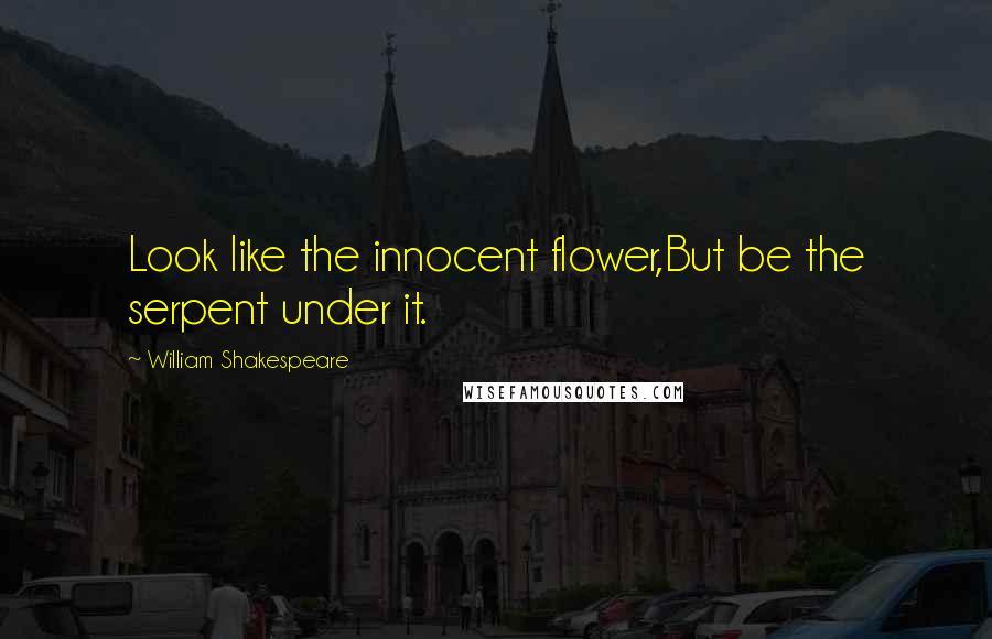 William Shakespeare Quotes: Look like the innocent flower,But be the serpent under it.