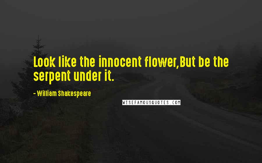 William Shakespeare Quotes: Look like the innocent flower,But be the serpent under it.