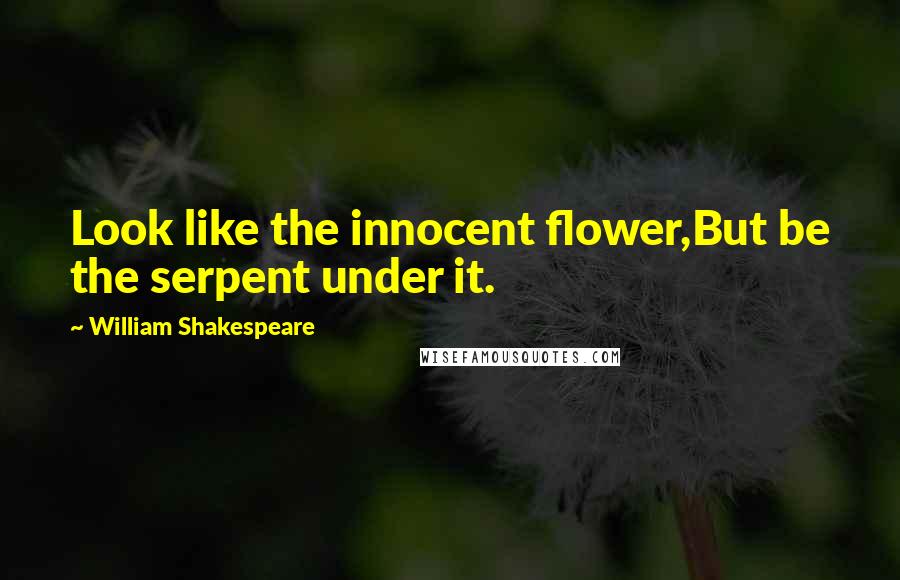 William Shakespeare Quotes: Look like the innocent flower,But be the serpent under it.