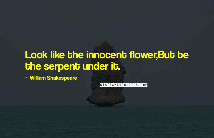 William Shakespeare Quotes: Look like the innocent flower,But be the serpent under it.