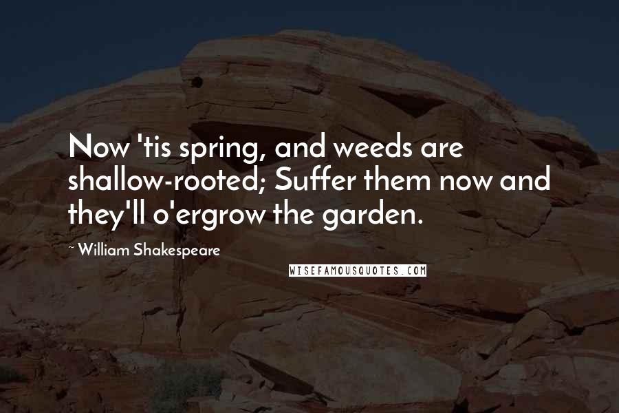 William Shakespeare Quotes: Now 'tis spring, and weeds are shallow-rooted; Suffer them now and they'll o'ergrow the garden.