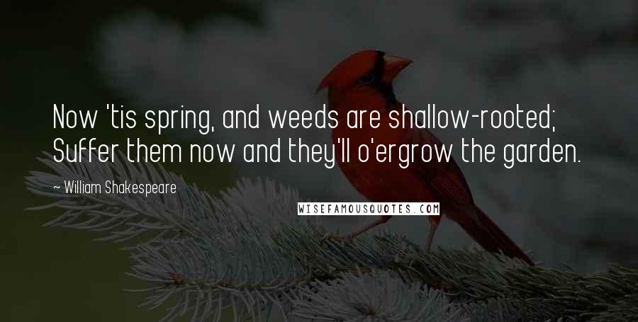 William Shakespeare Quotes: Now 'tis spring, and weeds are shallow-rooted; Suffer them now and they'll o'ergrow the garden.