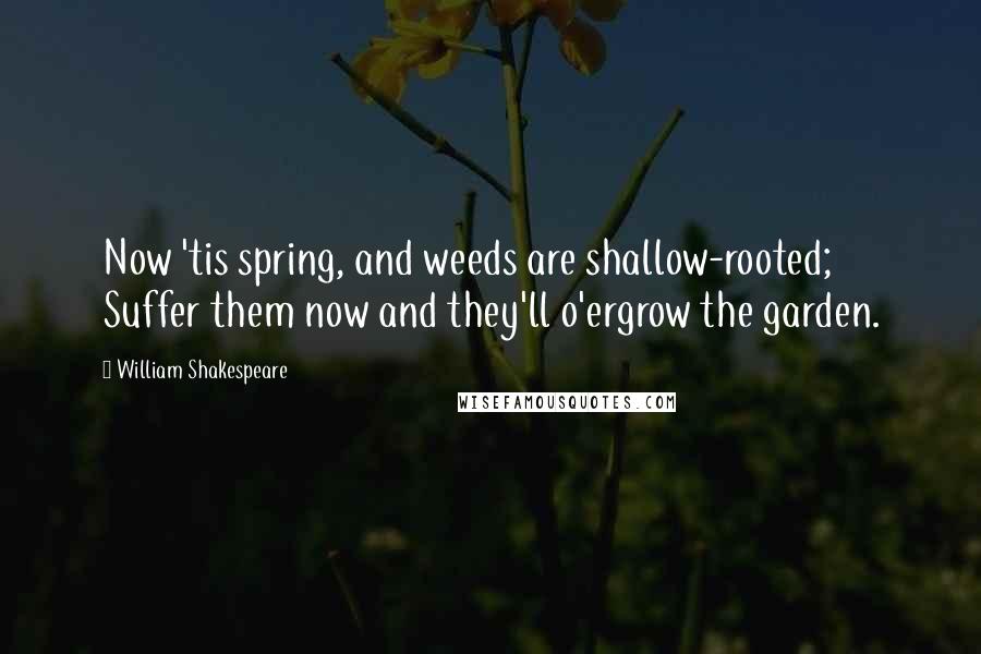 William Shakespeare Quotes: Now 'tis spring, and weeds are shallow-rooted; Suffer them now and they'll o'ergrow the garden.