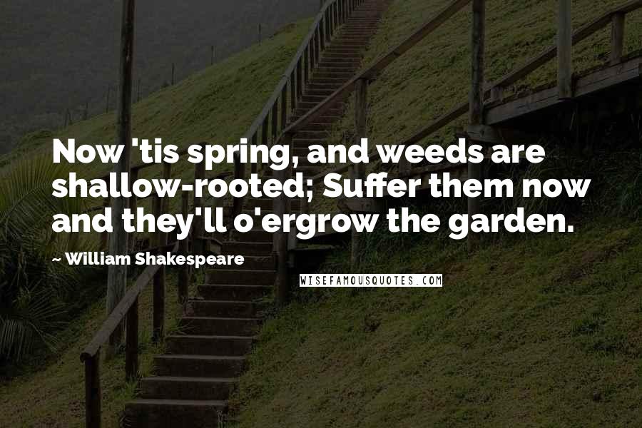 William Shakespeare Quotes: Now 'tis spring, and weeds are shallow-rooted; Suffer them now and they'll o'ergrow the garden.