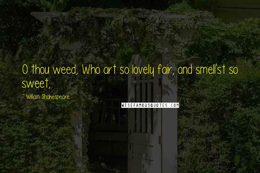 William Shakespeare Quotes: O thou weed, Who art so lovely fair, and smell'st so sweet,