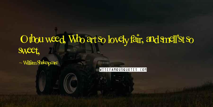 William Shakespeare Quotes: O thou weed, Who art so lovely fair, and smell'st so sweet,