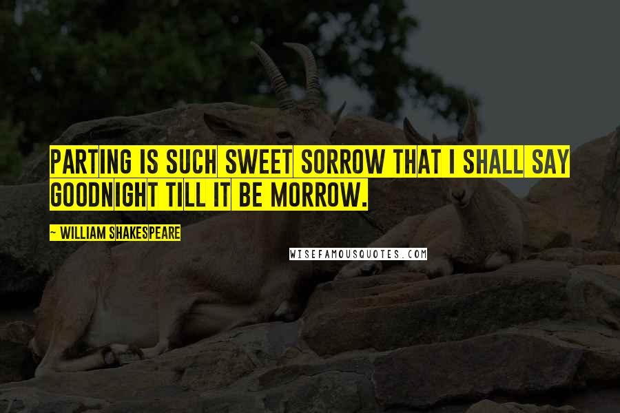 William Shakespeare Quotes: Parting is such sweet sorrow that I shall say goodnight till it be morrow.