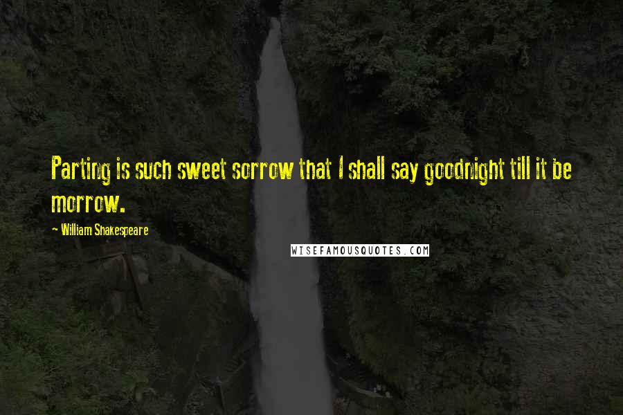 William Shakespeare Quotes: Parting is such sweet sorrow that I shall say goodnight till it be morrow.