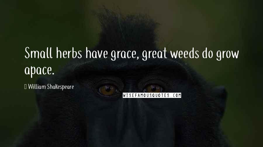 William Shakespeare Quotes: Small herbs have grace, great weeds do grow apace.