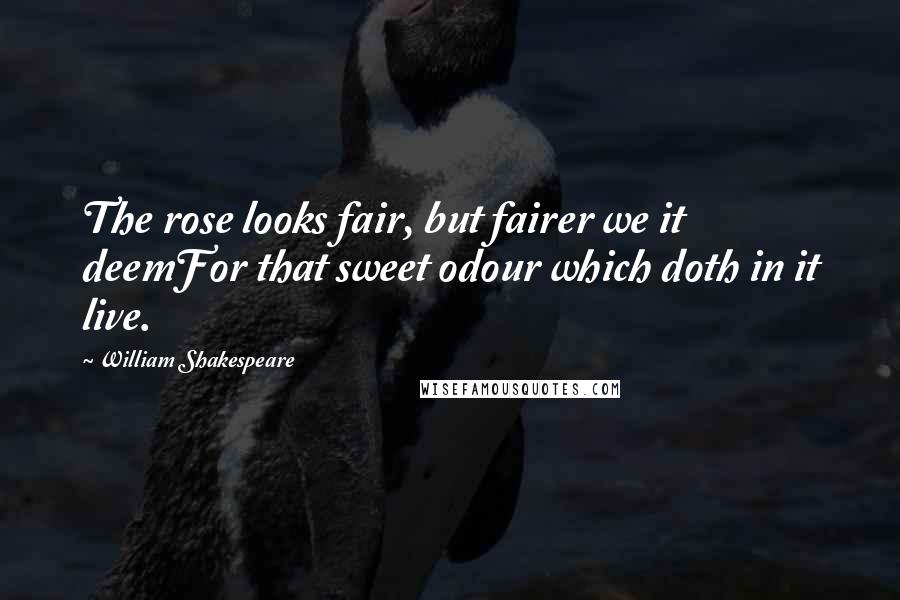 William Shakespeare Quotes: The rose looks fair, but fairer we it deemFor that sweet odour which doth in it live.