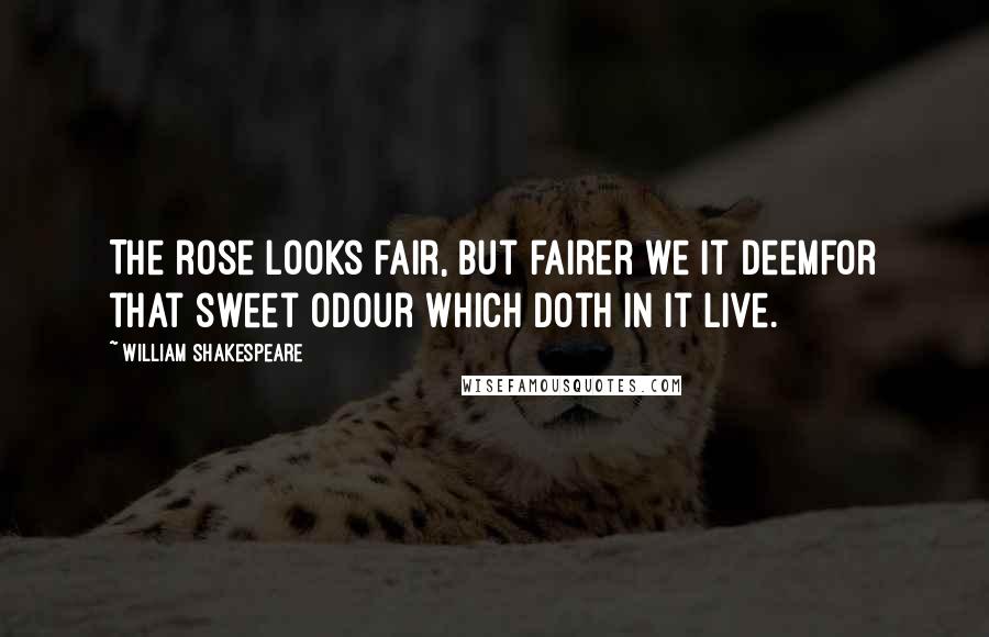 William Shakespeare Quotes: The rose looks fair, but fairer we it deemFor that sweet odour which doth in it live.