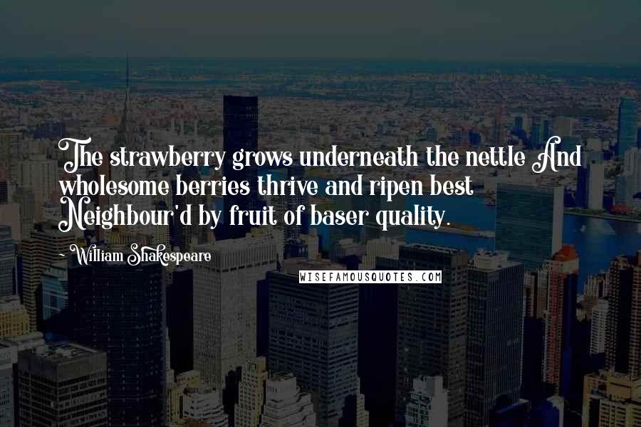 William Shakespeare Quotes: The strawberry grows underneath the nettle And wholesome berries thrive and ripen best Neighbour'd by fruit of baser quality.