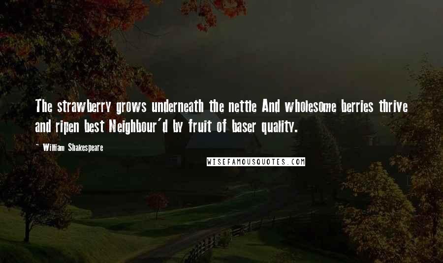 William Shakespeare Quotes: The strawberry grows underneath the nettle And wholesome berries thrive and ripen best Neighbour'd by fruit of baser quality.