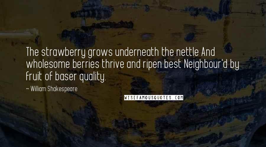 William Shakespeare Quotes: The strawberry grows underneath the nettle And wholesome berries thrive and ripen best Neighbour'd by fruit of baser quality.