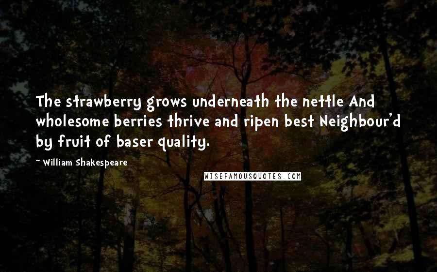 William Shakespeare Quotes: The strawberry grows underneath the nettle And wholesome berries thrive and ripen best Neighbour'd by fruit of baser quality.