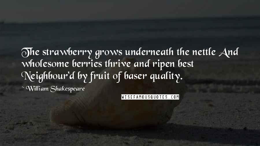 William Shakespeare Quotes: The strawberry grows underneath the nettle And wholesome berries thrive and ripen best Neighbour'd by fruit of baser quality.
