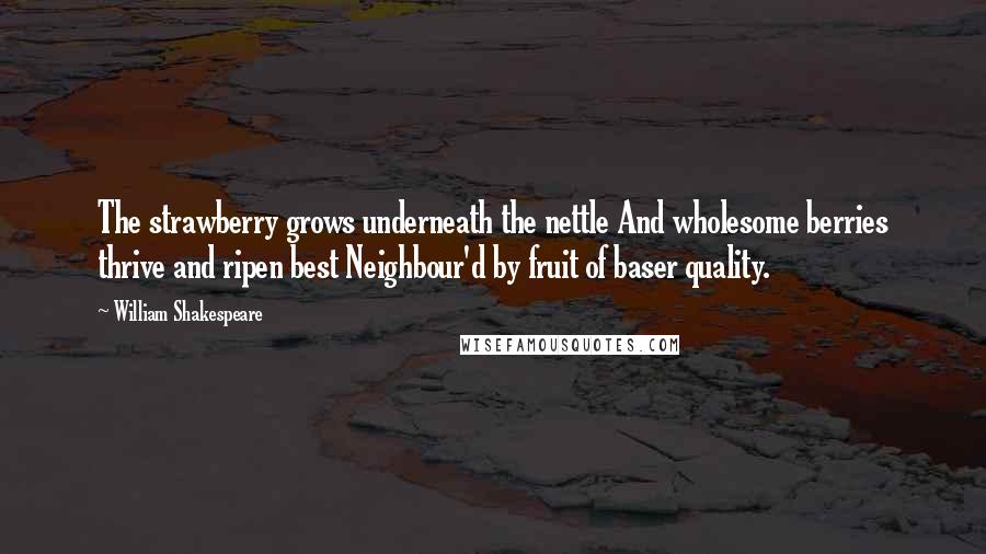 William Shakespeare Quotes: The strawberry grows underneath the nettle And wholesome berries thrive and ripen best Neighbour'd by fruit of baser quality.
