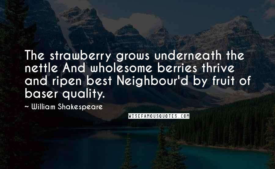 William Shakespeare Quotes: The strawberry grows underneath the nettle And wholesome berries thrive and ripen best Neighbour'd by fruit of baser quality.