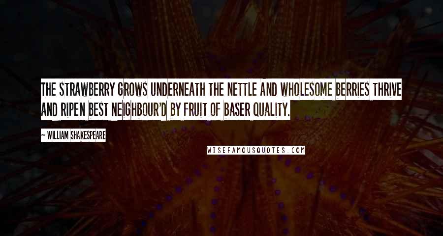 William Shakespeare Quotes: The strawberry grows underneath the nettle And wholesome berries thrive and ripen best Neighbour'd by fruit of baser quality.