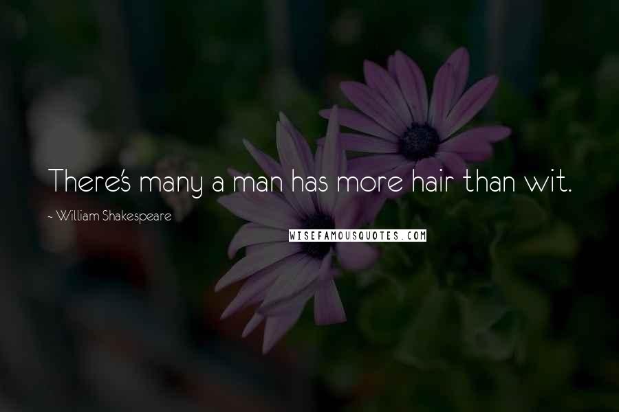 William Shakespeare Quotes: There's many a man has more hair than wit.