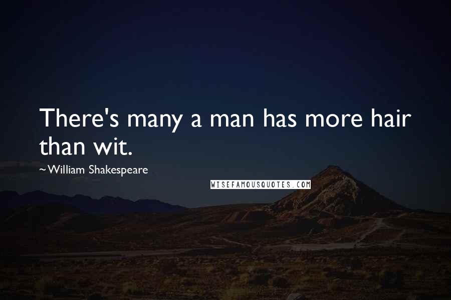 William Shakespeare Quotes: There's many a man has more hair than wit.