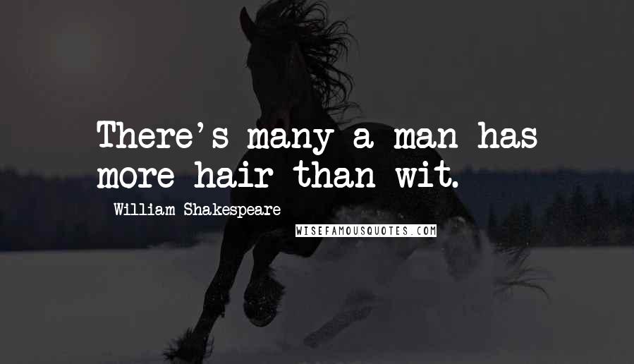 William Shakespeare Quotes: There's many a man has more hair than wit.